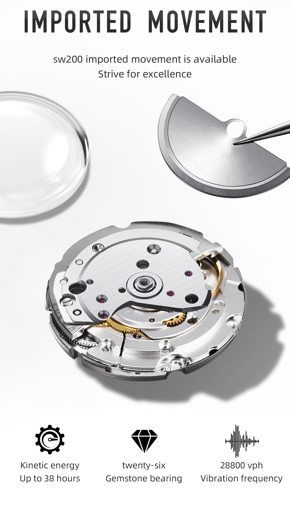 🔥Crystal Bubble Back🔥Hestur HT8007 Automatic Watches 36mm
