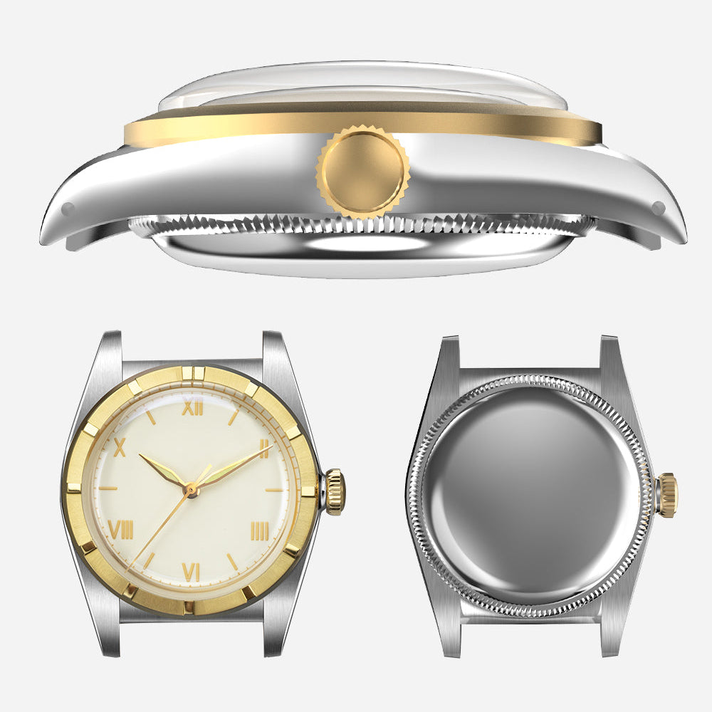 🔥Crystal Bubble Back Watches🔥Hestur HT8007 PT5000/SW200 36mm